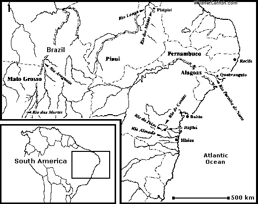 1. Map of the habitats of Parotocinclus species in S. America