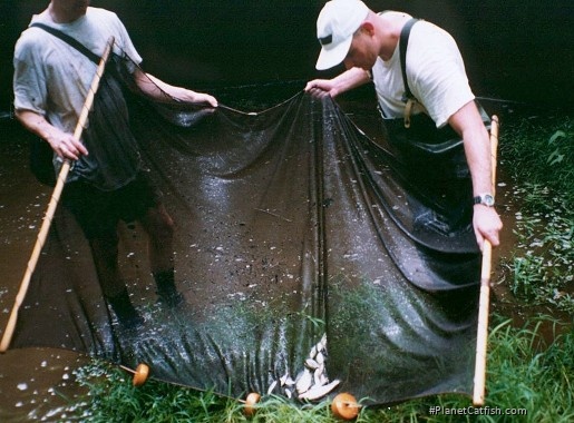 Examining the catch