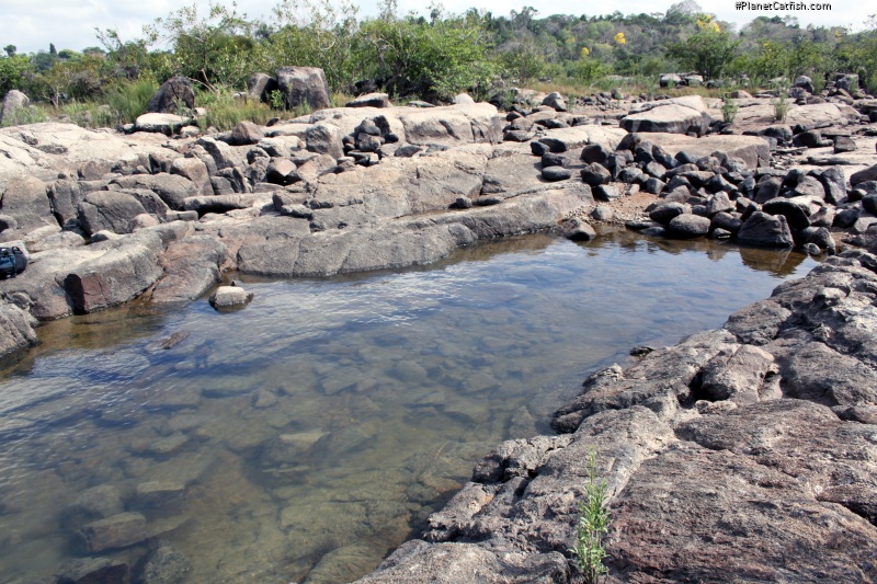 Better than any spa - this is Rio Iriri rockpooling!