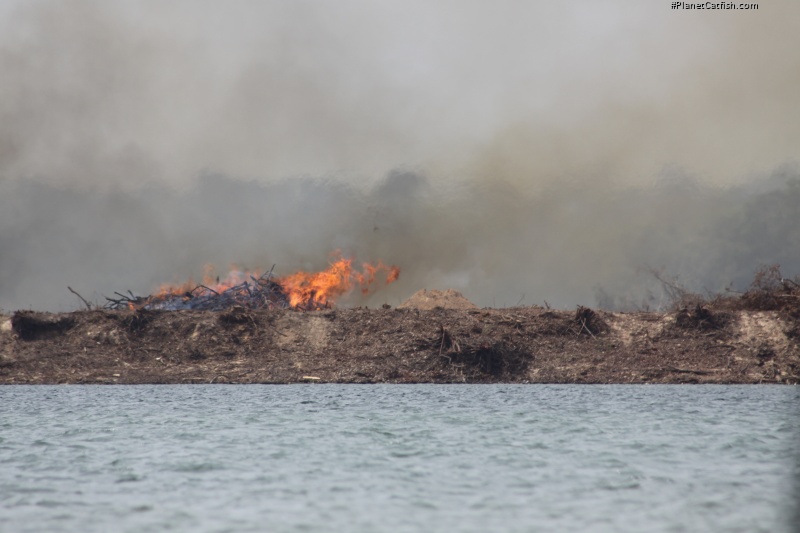 The Isla do Arapujá - on fire