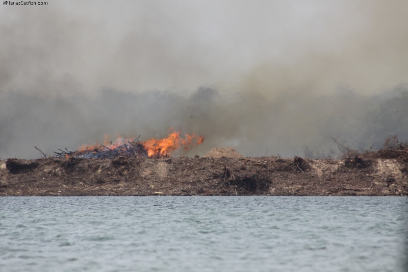 The Isla do Arapujá - on fire