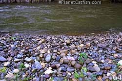 Rio Tulumayo Riverbed