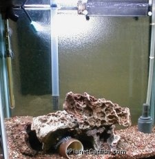 First spawn set-up