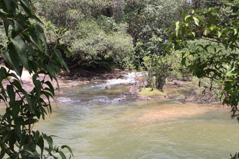 The pool within an island within a river