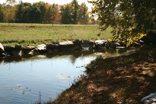 A perfect November day in Maryland