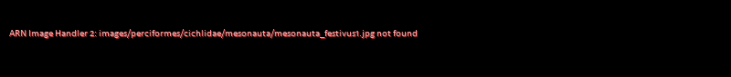 Mesonauta festivus
