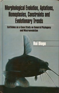 Morphological evolution, aptations,homoplasies,constraints&evolutionary trends