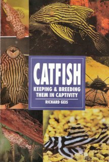 Catfish, Keeping And Breeding Them In Captivity