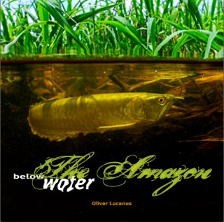 The Amazon below water