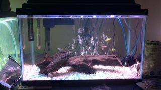 Tank 1 Tank 1