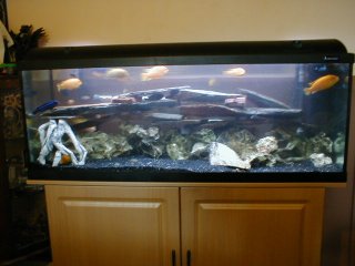 My Aquarium(2)