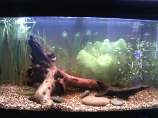 AquaOne AR850 AquaOne AR850