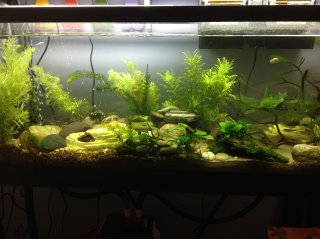 40L