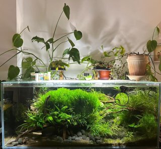 My Aquarium(0)