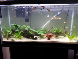 Main Tank 35G