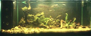 River Biotope River Biotope