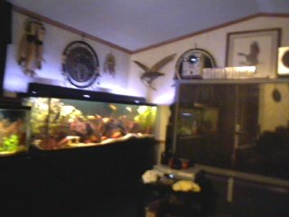 My Aquarium(3)