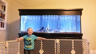 180 gallon 180 gallon