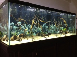180 Gallon 180 Gallon
