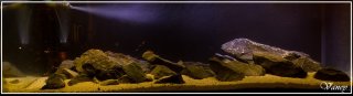 My Aquarium(1)