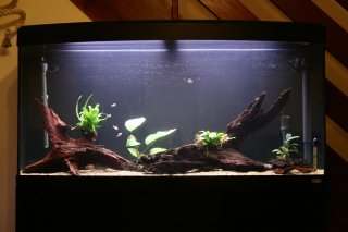 Fluval 260L Fluval 260L