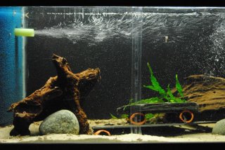 My Aquarium 3