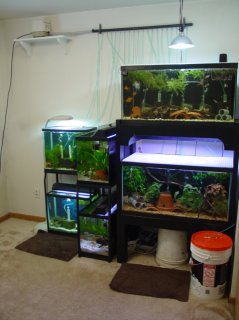 My Aquarium(2)