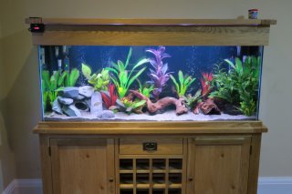 Aqua-Oak 330 Litres Aqua-Oak 330 Litres