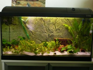 120l brakish water tank