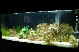 Tanganyika Tanganyika