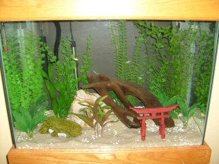 My Aquarium