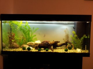 250L Community