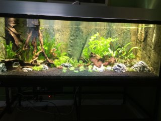 Stue aquarium Stue aquarium
