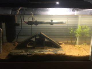 10 gallon quarantine tank