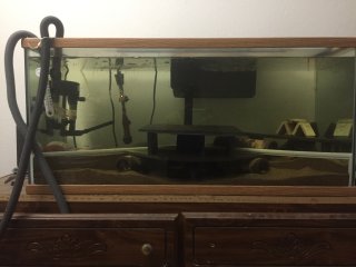 L400 tank 40 gallon breeder