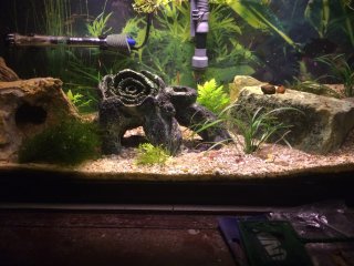 L411 tank 20 gal long