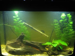 C Metae tank