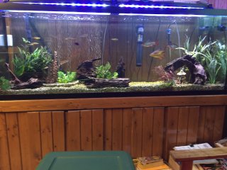 150 gallon 150 gallon