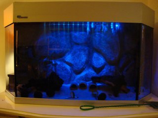 My Aquarium(1)