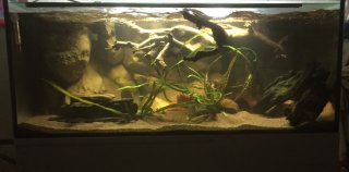 My Aquarium(1)