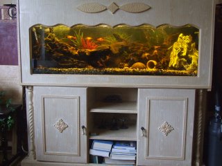 My Aquarium(1)