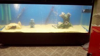 My Aquarium 2