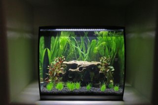 Fluval 34 Fluval 34