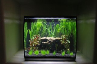 Fluval 34