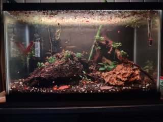 10-Gallon