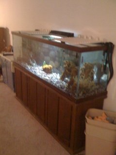 first big tank ever