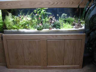 My Aquarium(3)