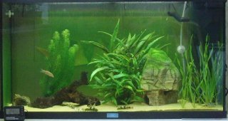 My Big Tank