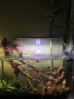 Fluval Spec V