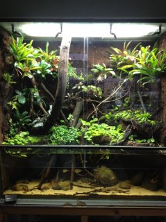 Paludarium